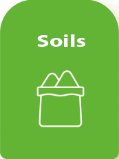 soils