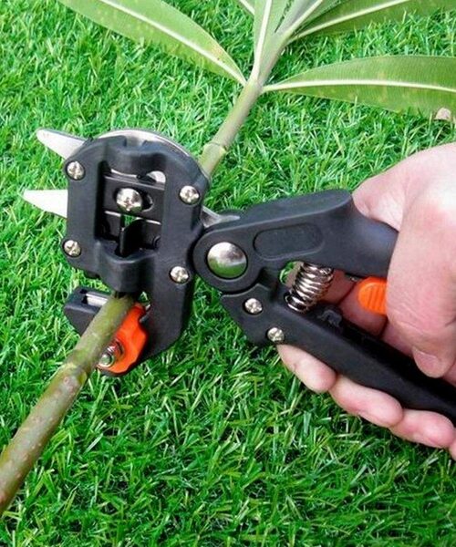 Grafting cutter