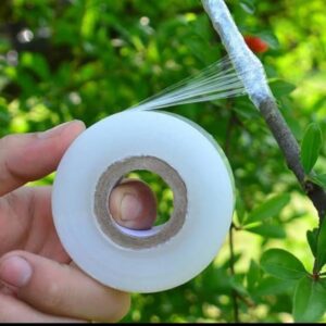 grafting tape