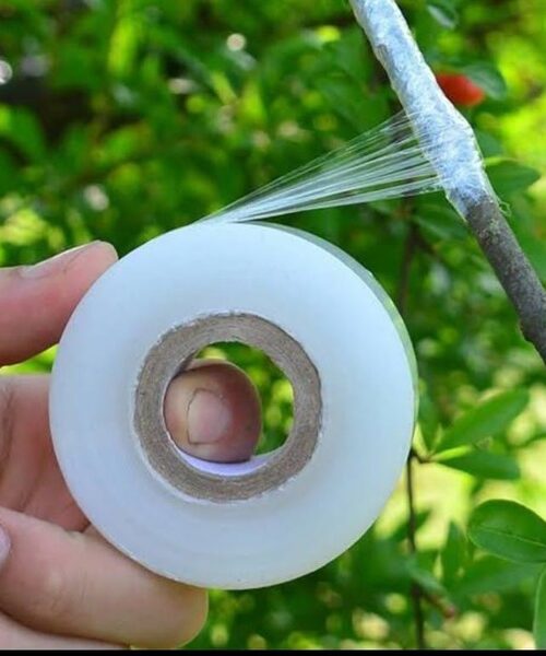 grafting tape