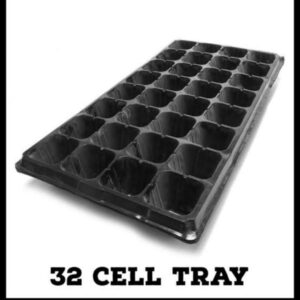Seedlings tray - Image 2
