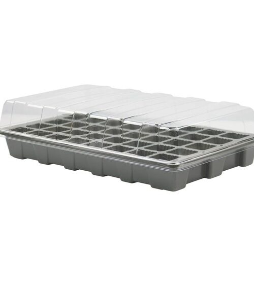 Seedlings tray